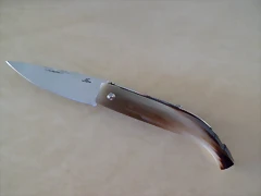 SAM_2155
