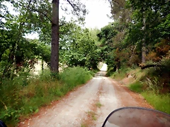 DSCN4423 DSCN4423