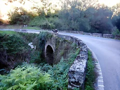 DSCN0639 DSCN0639