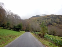 DSCN2954 DSCN2954