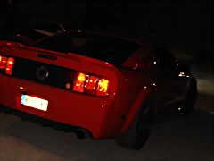 P3220594 P3220594
