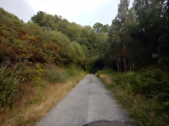 DSCN4411 DSCN4411