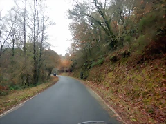 DSCN3077 DSCN3077
