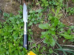 IMG_20201128_171357 IMG_20201128_171357