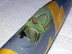 SDC39521 SDC39521