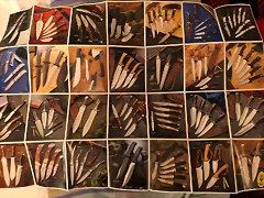 Catalogomuela