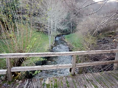 DSCN2823 DSCN2823