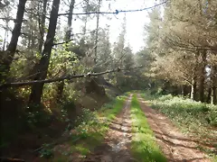 DSCN2081 DSCN2081