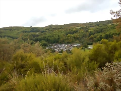 DSCN098'5 DSCN098'5