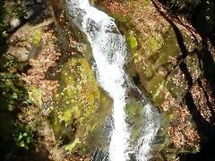 DSCN9843 DSCN9843