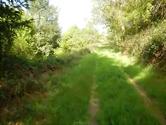 DSCN2086 DSCN2086