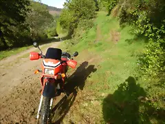 DSCN2085 DSCN2085