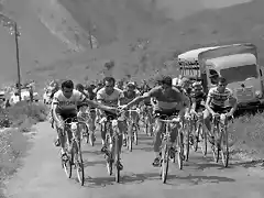 tour-de-france-1964