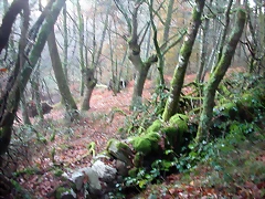 DSCN5093 DSCN5093