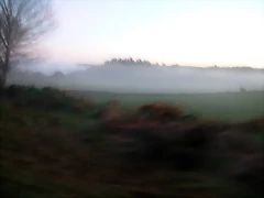 DSCN5100 DSCN5100