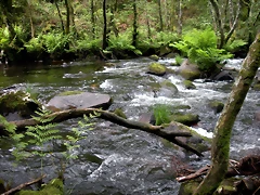 DSCN2811 DSCN2811