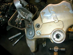 DSCN3005