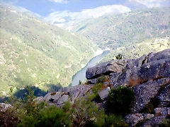 DSCN7635 DSCN7635
