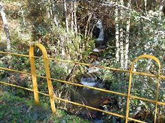 DSCN9044 DSCN9044