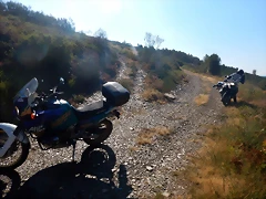 DSCN7721 DSCN7721