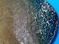 20190204_173026 20190204_173026