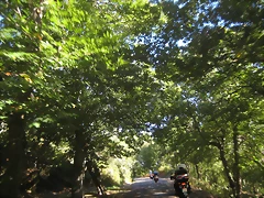 IMG_1007 IMG_1007