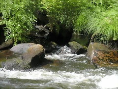 DSCN2785 DSCN2785