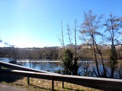 DSCN2466 DSCN2466