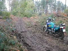 DSCN8452 DSCN8452