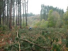 DSCN8455 DSCN8455