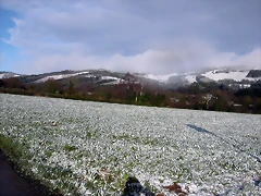 DSCN7467 DSCN7467