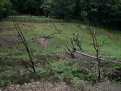 CERZA 27-08-10 210 CERZA 27-08-10 210