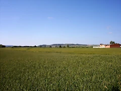 100_1409 100_1409
