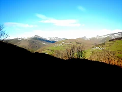 DSCN1963 DSCN1963