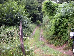 DSCN4765 DSCN4765