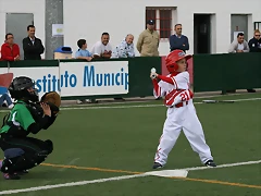 IMG_4355 IMG_4355