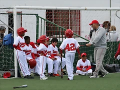 IMG_4343 IMG_4343