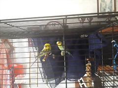 20170713_134104