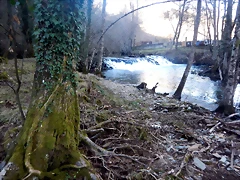 DSCN2567 DSCN2567