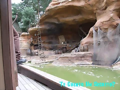 DSCF8723 DSCF8723