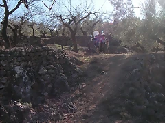 mtb olocau 060 mtb olocau 060