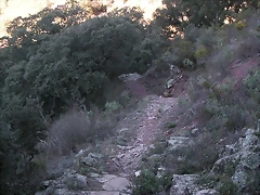 mtb olocau 071 mtb olocau 071