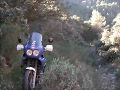 mtb olocau 075 mtb olocau 075