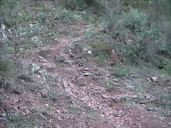 mtb olocau 070 mtb olocau 070
