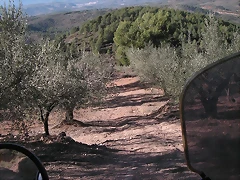 mtb olocau 061 mtb olocau 061