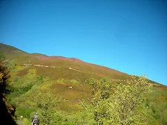 DSCN5269 DSCN5269