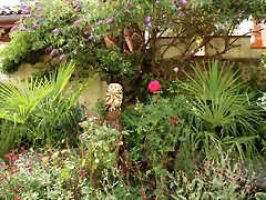 IMG_7124 IMG_7124