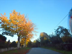 DSCN8974 DSCN8974