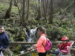R0012378 R0012378