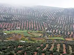 las caadas con niebla 2